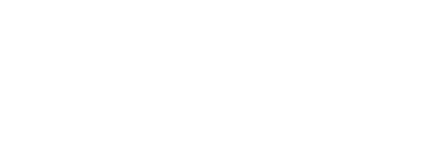 Sanvira Global Solutions